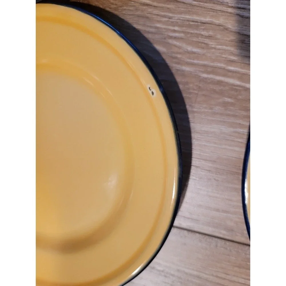 Vintage TAIPRO Enamelware Dinnerware Plates Retro Camping‎ RV Beach